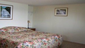 Finger Lakes Waterfall Resort room 21