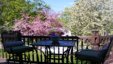 Lake Valley Legends bnb outdoor breakfast seating
