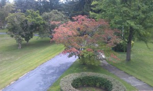 Idlwilde Inn bnb beautiful grounds