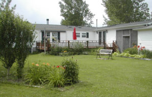 Ginger Cat bnb deck and gardens
