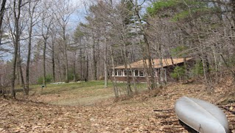 Hunters View cabin nestled in the woods