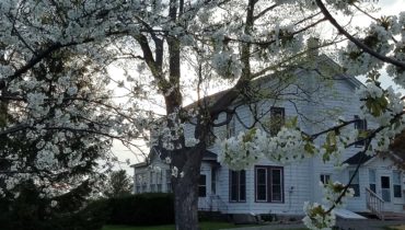 Apex Inn bnb beautifully renovated 19th century farmhouse
