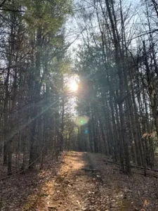 Finger Lakes National Forest