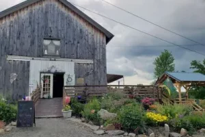 Rasta Ranch Vineyards