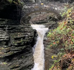 Watkins Glen State Park