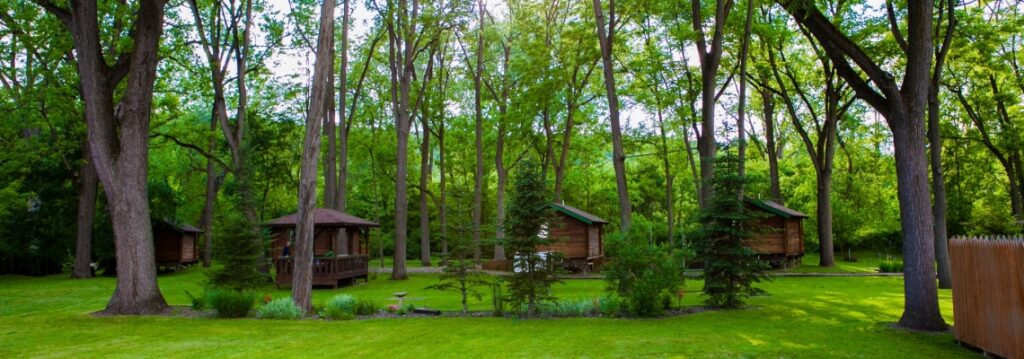 Forest - Schuyler County Lodging and Tourism Association
