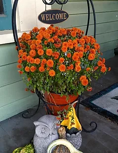 Flowers | Schuyler County Lodging and Tourism Association
